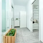 Karma 2 25m Del Mar Holiday home Famara