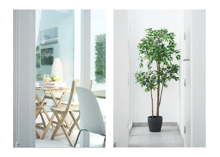 Karma 2 25m Del Mar 法马拉